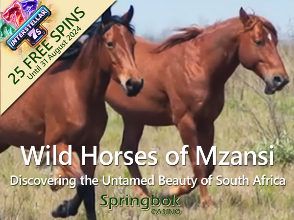 South Africa’s Wild Horses Celebrated in Springbok Casino’s August Feature